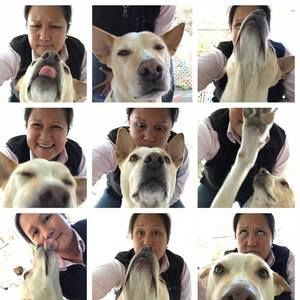 Meet your Posher, Alphecca